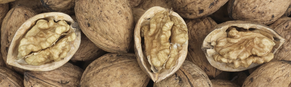  - The Walnut Tree Co.